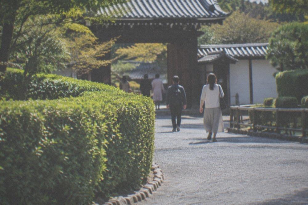 A wide gravel path curving between clipped hedges in a temple garden