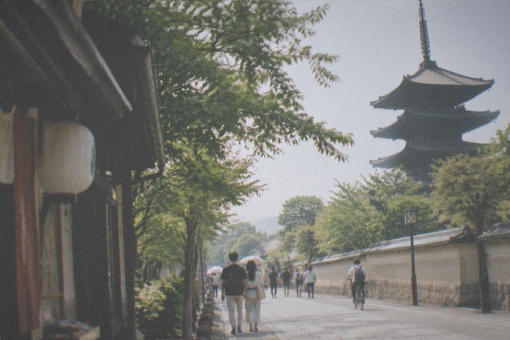 The tree-lined approach to To-ji temple with the pagoda rising above the wall