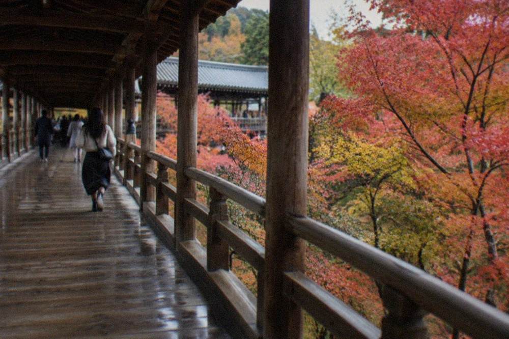 Visitors walking across a long covered wooden bridge above a gorge filled with red maple foliage