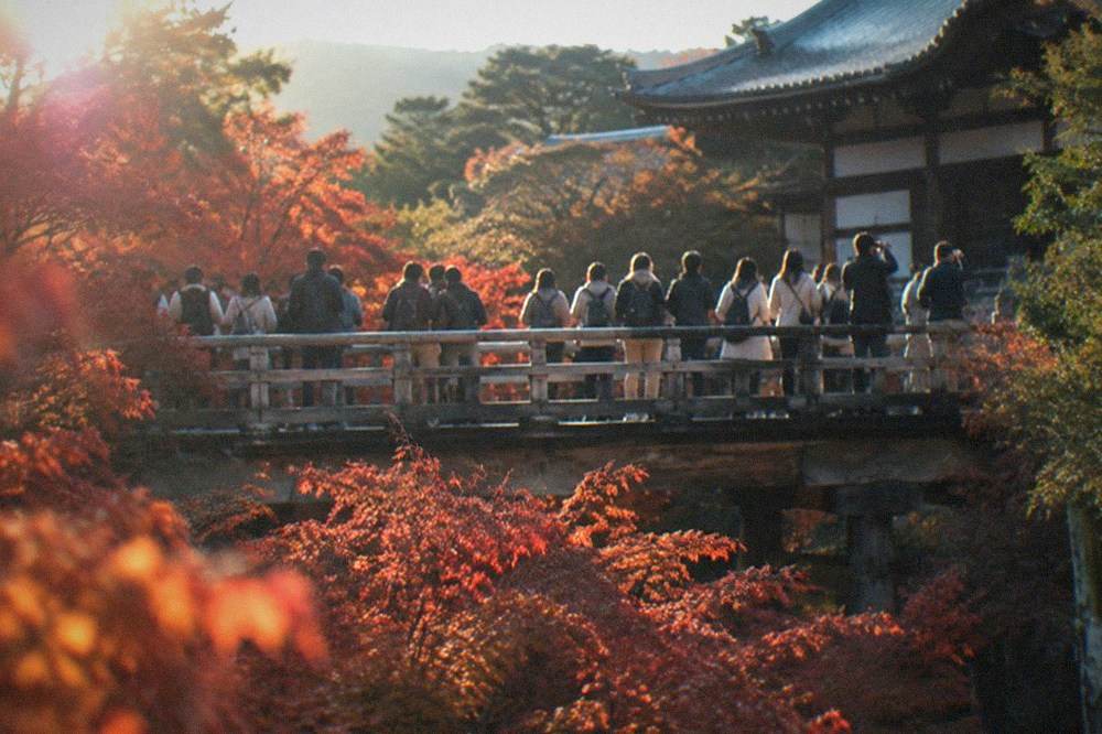 Dense crowd of visitors with cameras crossing a narrow wooden bridge above red maples