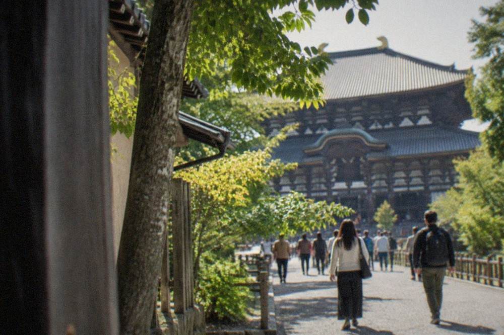 The great wooden hall of Todai-ji seen through trees, with visitors walking the gravel path toward it