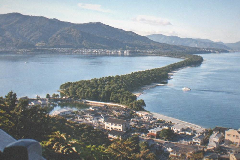 A long pine-covered sandbar stretching across a calm bay at Amanohashidate, seen from a hillside viewpoint