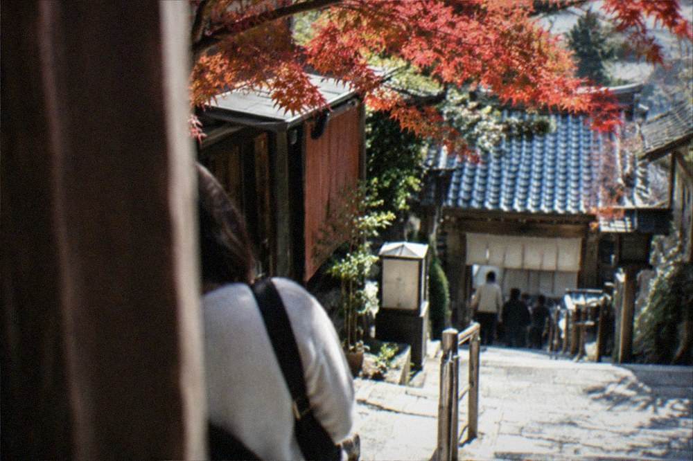 Red maple leaves overhanging a stone stairway leading to a small temple in a Kyoto mountain valley