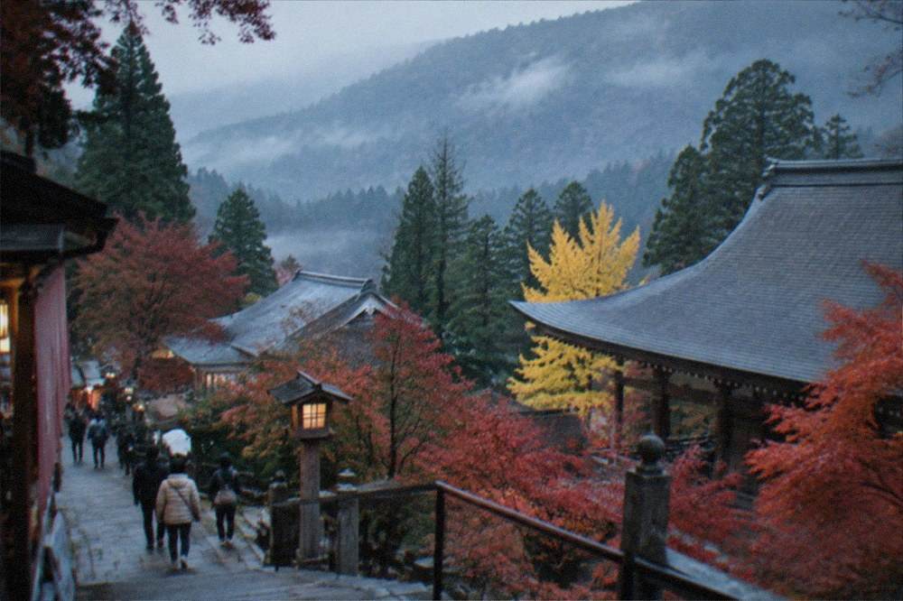 Mountain temple roof with red maple trees in autumn and morning mist