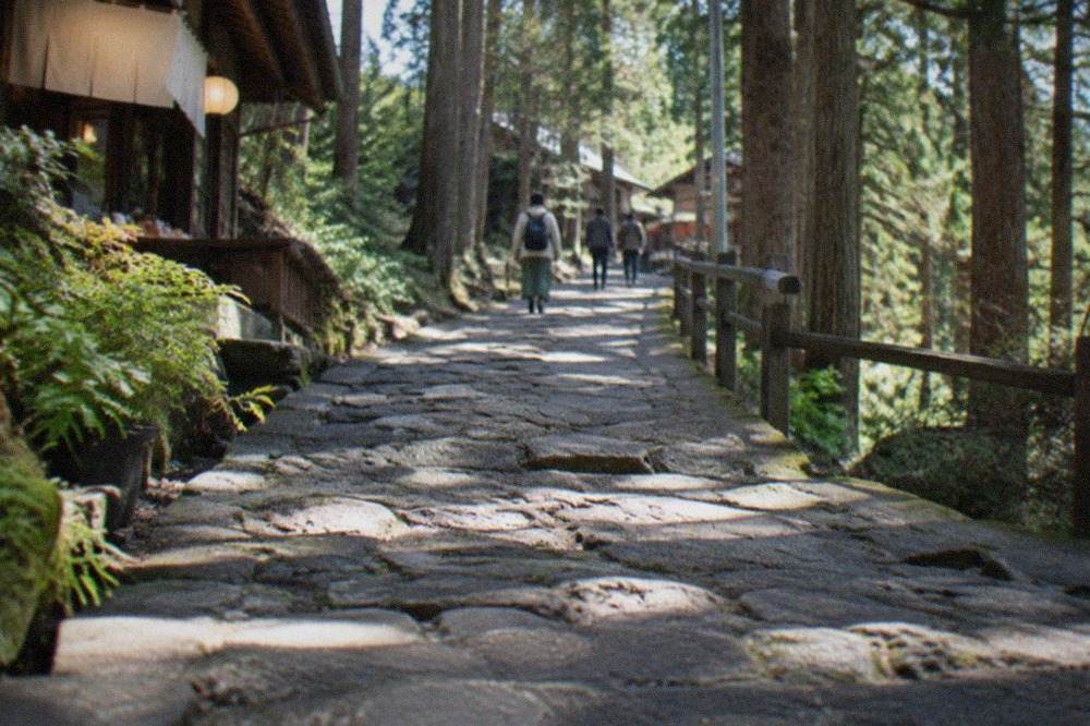 A forested mountain ridge path winding between tall cedar trees in northern Kyoto