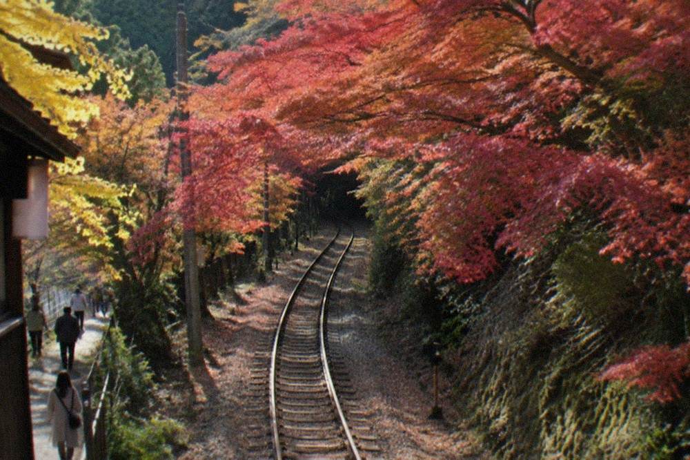 A single-track railway curving through a tunnel of maple trees in autumn