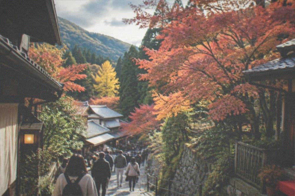 Maple trees with red and orange leaves along a mountain path in late autumn