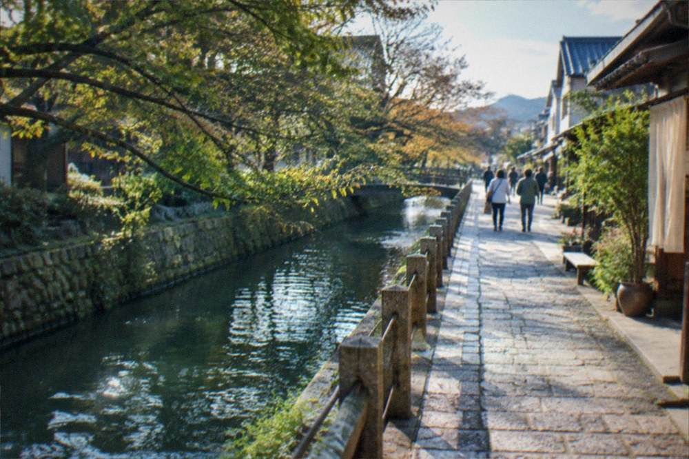 A stone canal path beside a historic water channel with trees overhanging the water