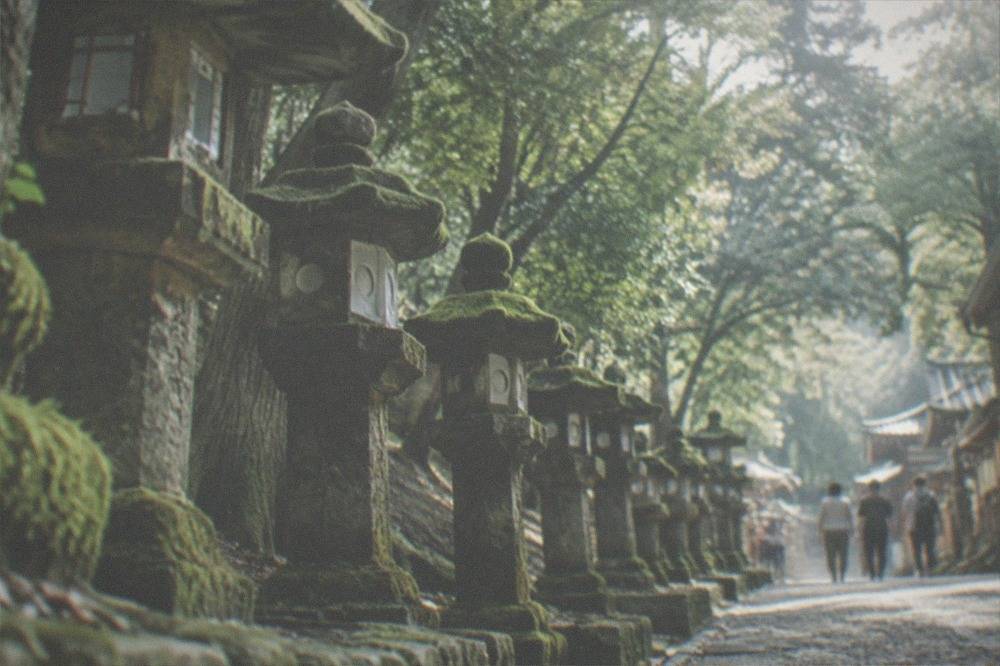 Rows of moss-covered stone lanterns lining a path through woodland