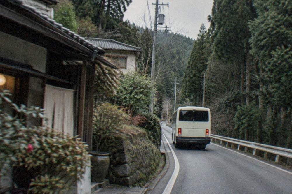 A rural bus winding along a narrow valley road with cedar forest on both sides