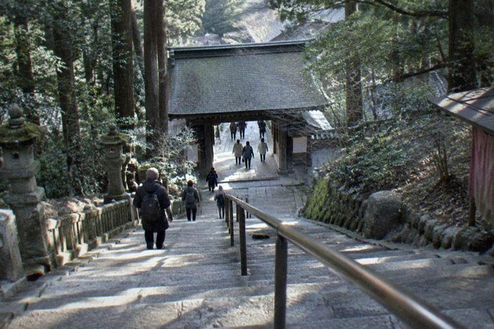 A long stone stairway climbing through forest toward a temple gate