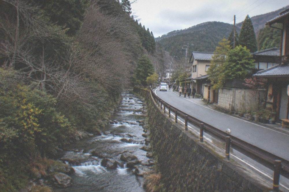 A mountain stream running beside a narrow road through deep forest