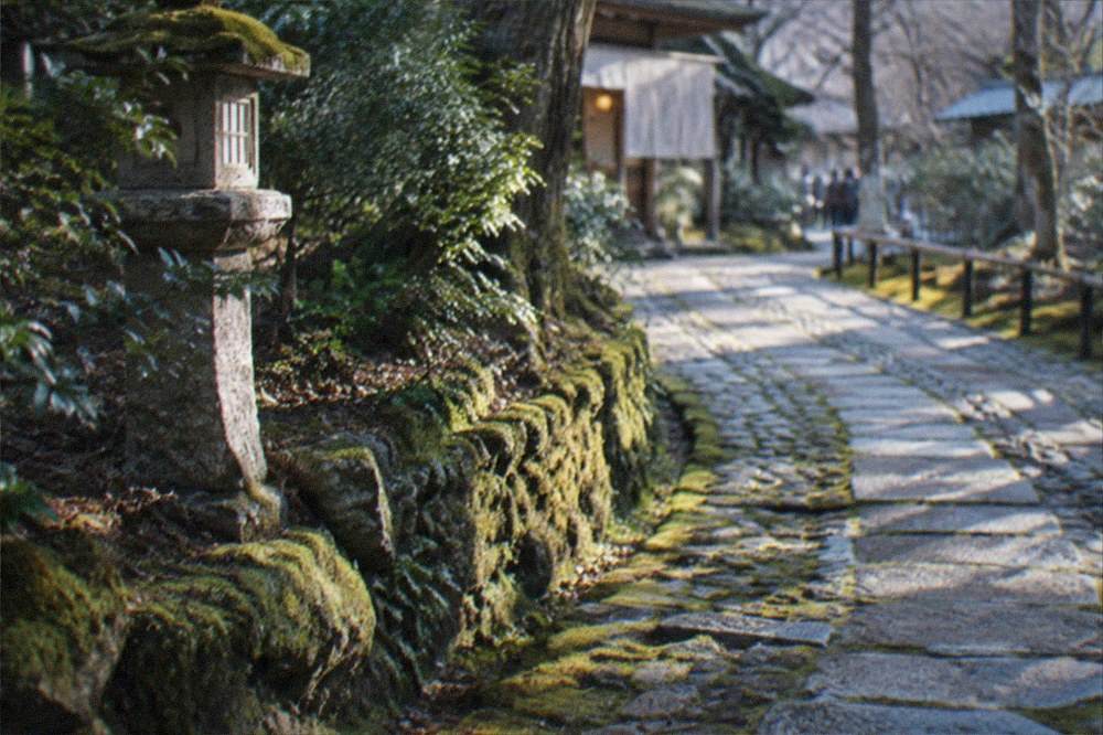 A moss covered stone path curving through a quiet temple garden