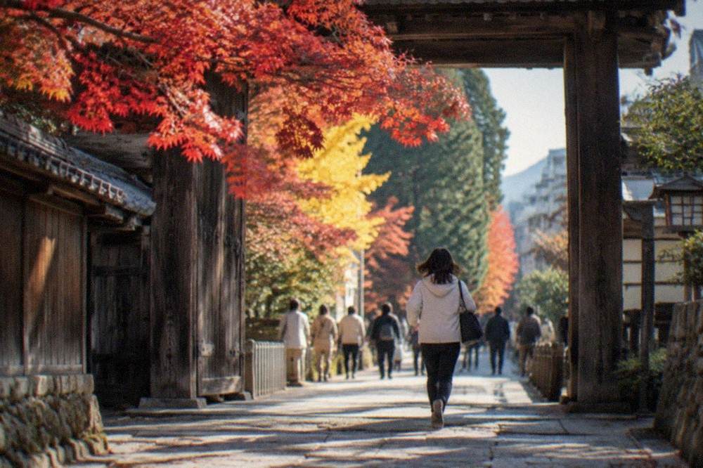 Red maple branches over a wooden temple gate in Kyoto in late autumn
