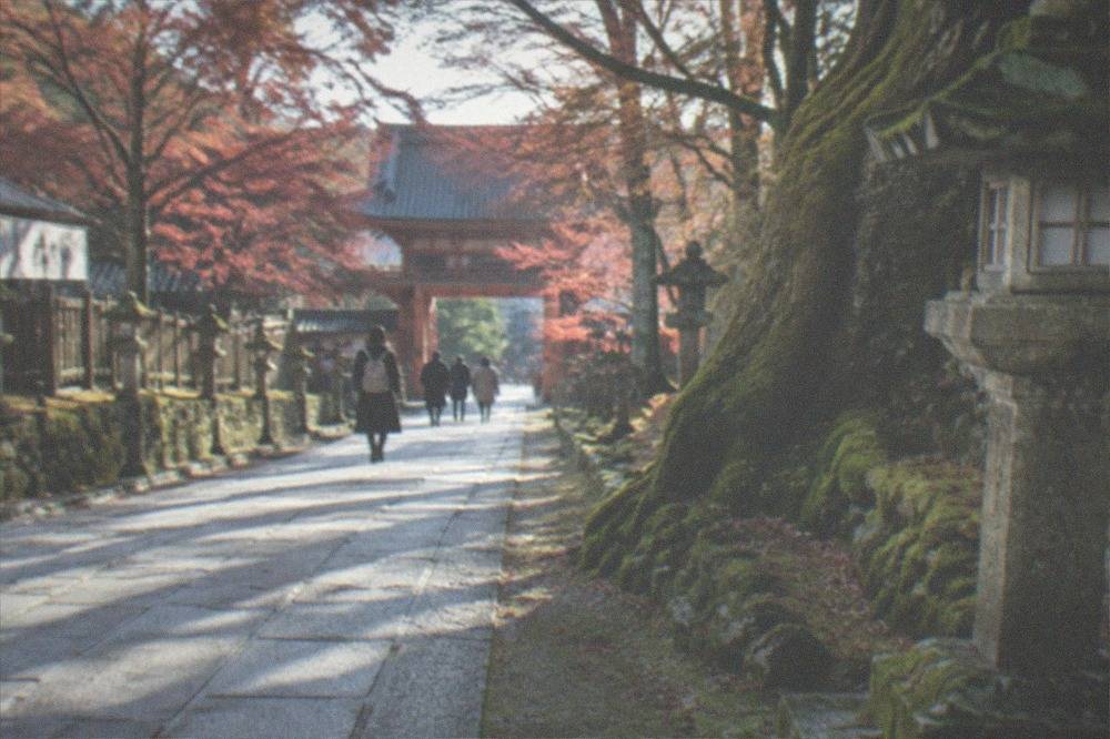 A stone path lined with moss and maple trees leading toward a temple gate in eastern Kyoto
