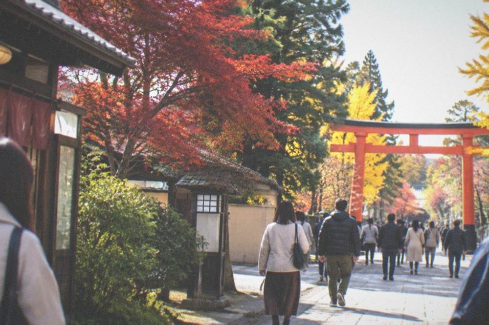 Visitors in light jackets and autumn clothes walking a Kyoto street lined with trees turning colour