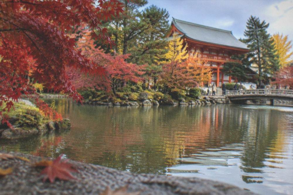 A quiet Kyoto temple garden with a pond and maples beginning to turn red in late autumn light