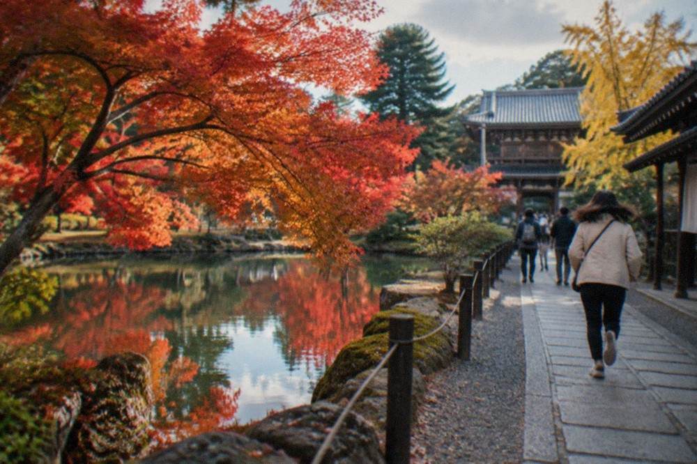 A maple tree with red and orange leaves reflected in a temple garden pond in Kyoto