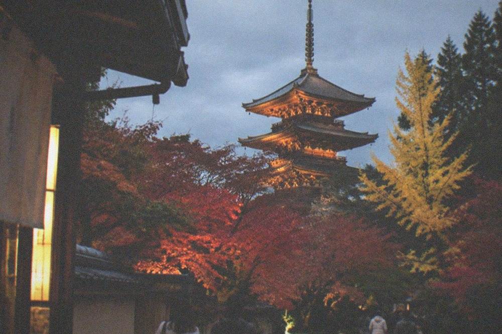 A lit-up temple pagoda above red maples at night in Kyoto