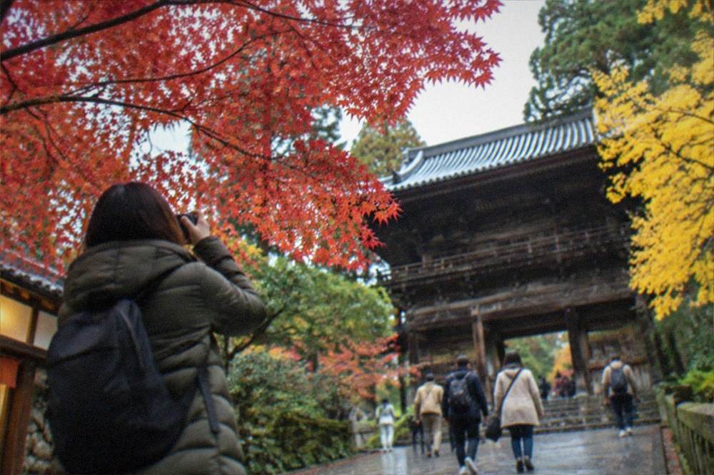A traveller in a warm coat photographing red maple leaves at a temple in Kyoto