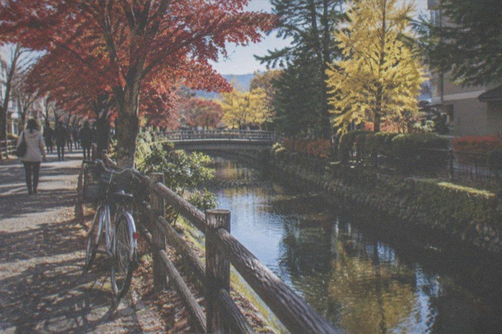 A bicycle leaning against a wooden fence on a tree-lined canal path in autumn colours