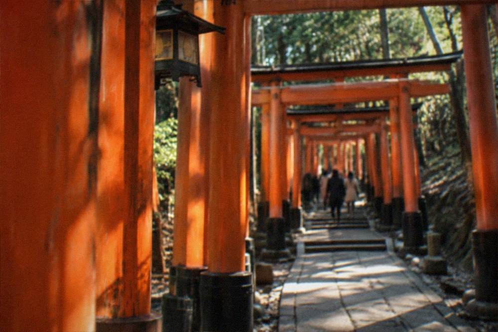 Red torii gates lining the forested path up Mount Inari at Fushimi Inari