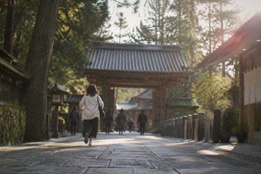A quiet temple gate in Kyoto surrounded by tall cedar trees and soft morning light