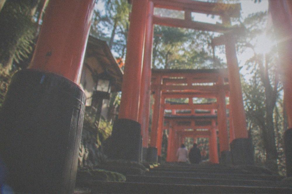 A tunnel of vermilion torii gates on a quiet forested mountain path in Kyoto