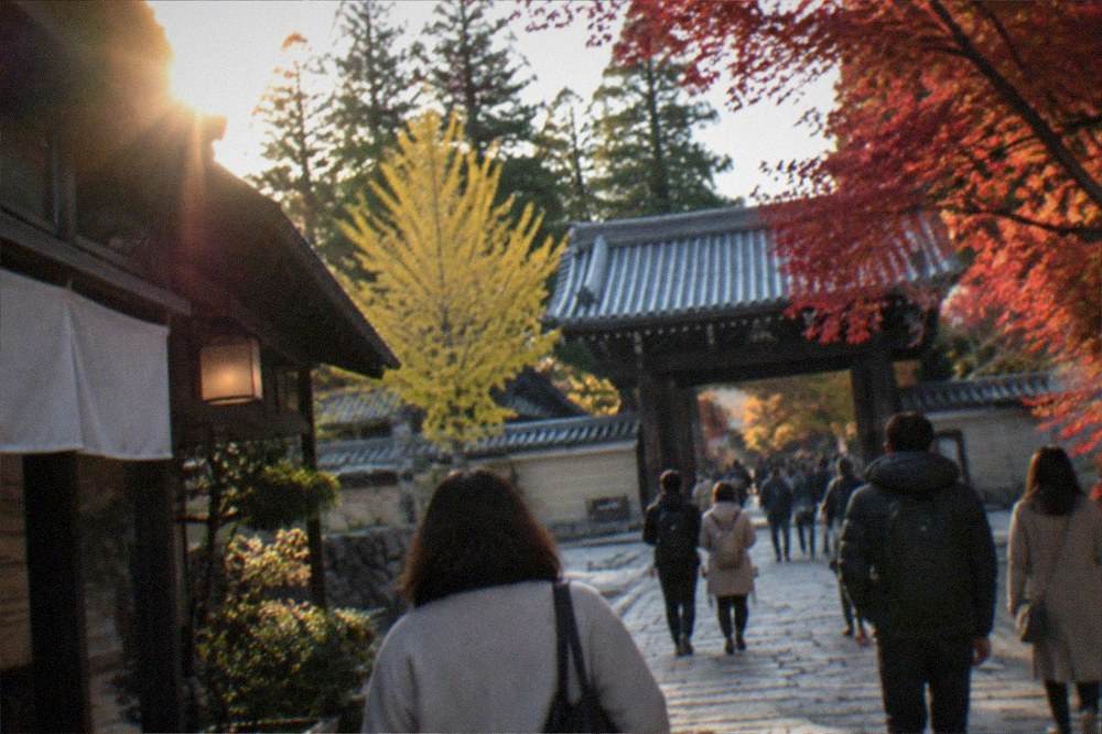 Visitors walking a stone path toward a temple gate with autumn trees
