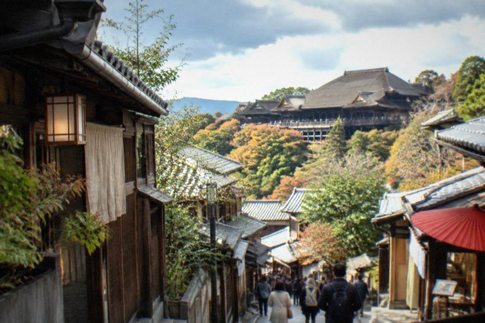 The wooden stage of Kiyomizu-dera seen from the tree-covered hillside below