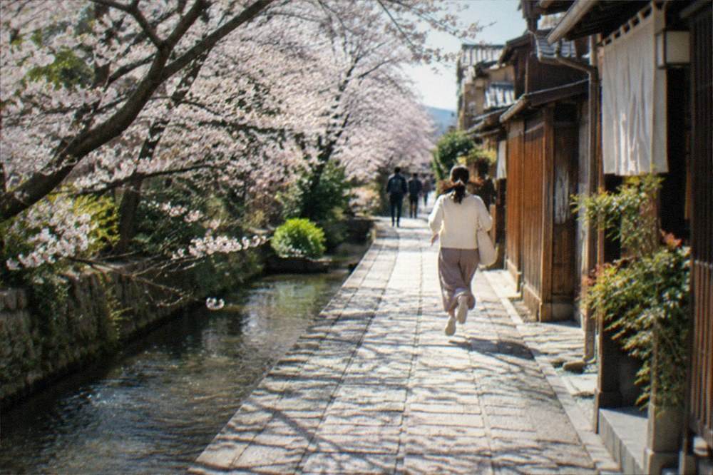 A canal-side stone path lined with cherry trees beside a traditional wooden neighbourhood