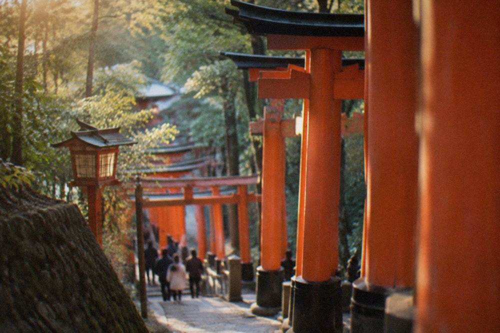 Rows of vermilion torii gates climbing a wooded hillside path at a Kyoto shrine