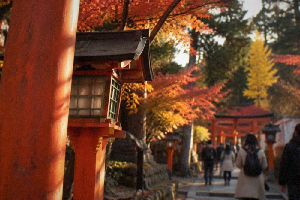 A shrine path lined with trees showing red and orange autumn foliage
