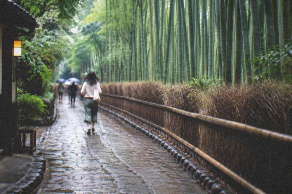 A stone path through the Arashiyama bamboo grove in soft morning light