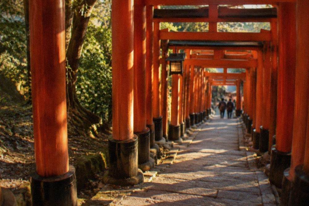 Red torii gates lined closely together on the Fushimi Inari mountain path