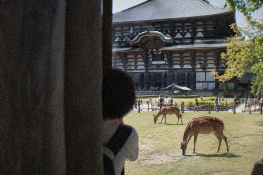 Todai-ji Daibutsuden hall in Nara Park with deer grazing on the grass in front