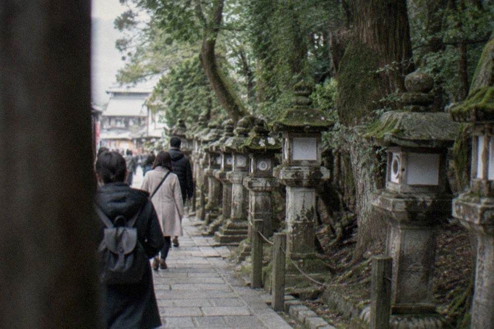 Stone lanterns lining the forested approach path to Kasuga Taisha in Nara