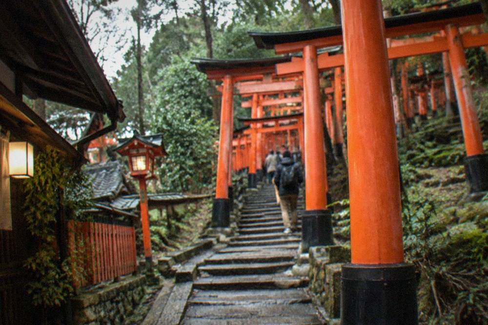 Rows of vermilion torii gates climbing the wooded slopes of Fushimi Inari shrine