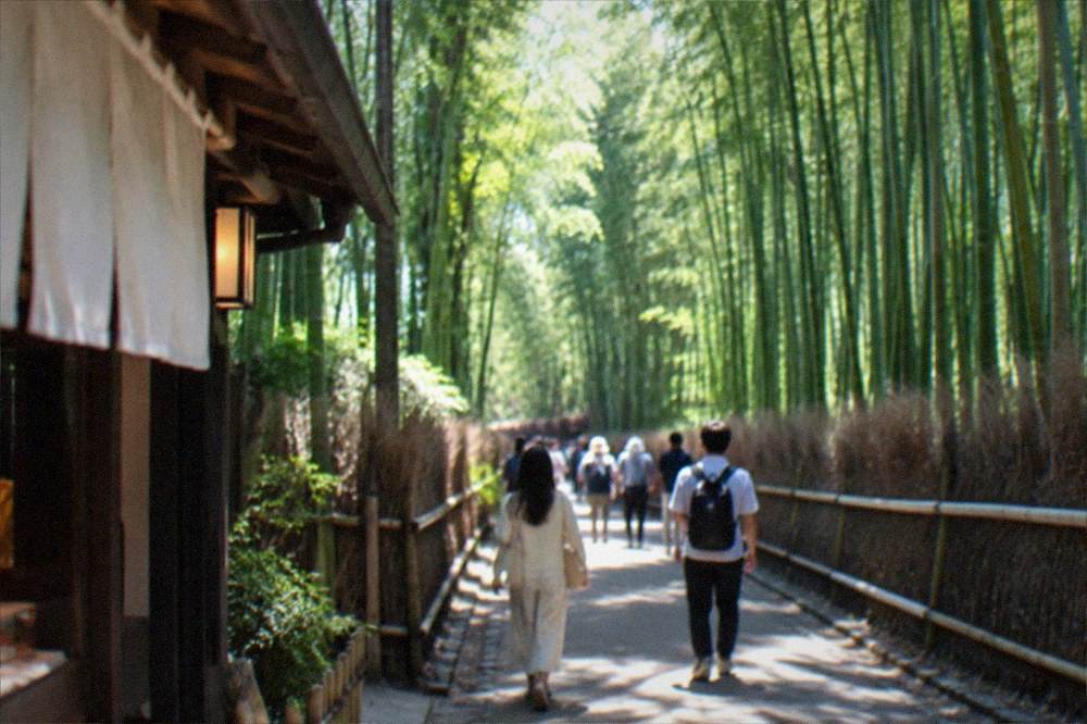 Bamboo grove path in Arashiyama with tall green stalks on both sides