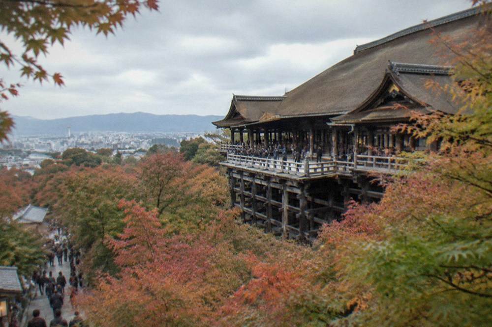 The wooden stage of Kiyomizu-dera seen from below, framed by maple trees and the city spreading out behind