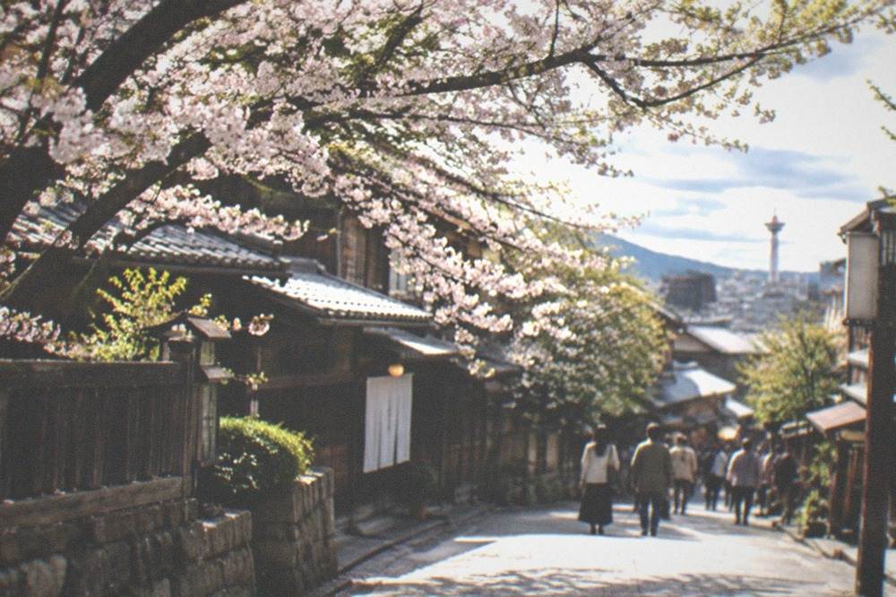 Cherry blossom branches in full bloom over a stone street with traditional wooden buildings