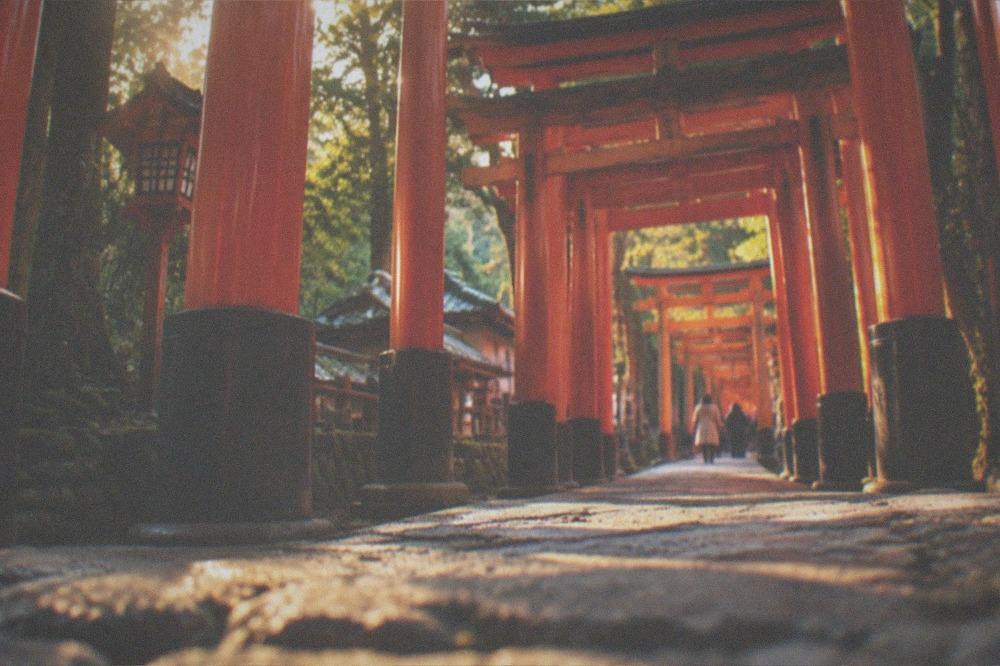 Red torii gates rising along the forested path at Fushimi Inari in early morning light