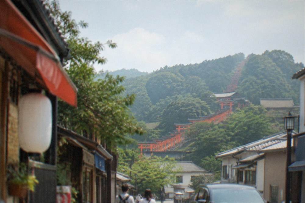Dense rows of orange torii gates climbing a forested hillside