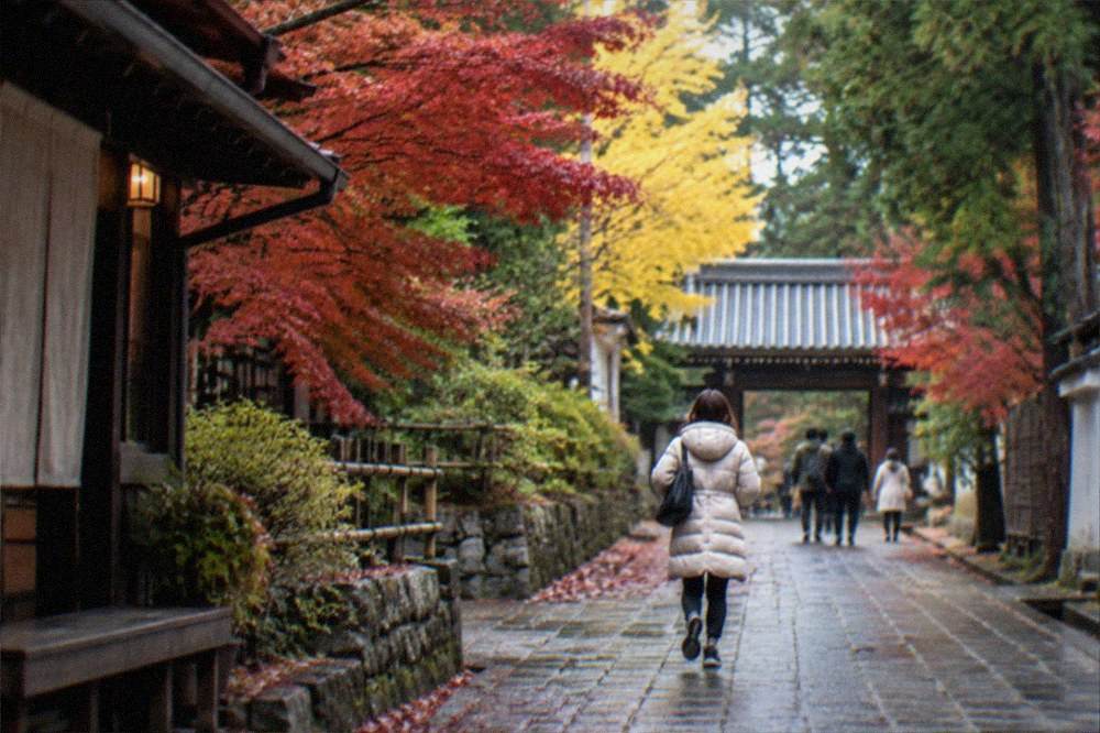 A quiet temple lane with maple leaves and a visitor in a warm coat