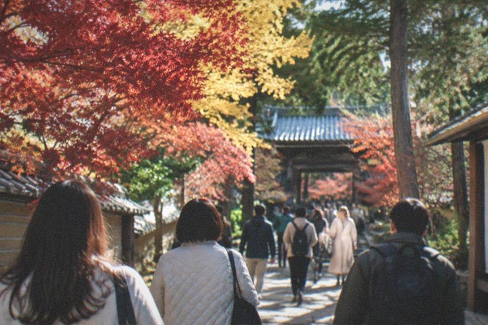 A crowded stone approach to a Kyoto temple with maple trees overhead