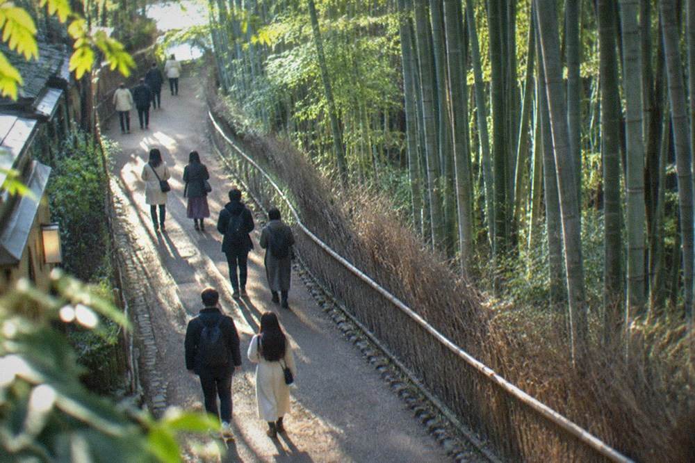 Visitors walking the tall bamboo path in Arashiyama in soft morning light