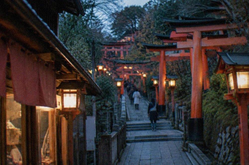 Vermilion torii gates curving up a wooded hillside at Fushimi Inari in early light