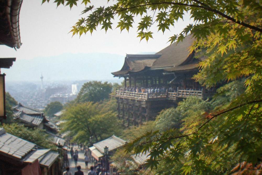 The wooden stage of Kiyomizu-dera seen through maple branches above the city