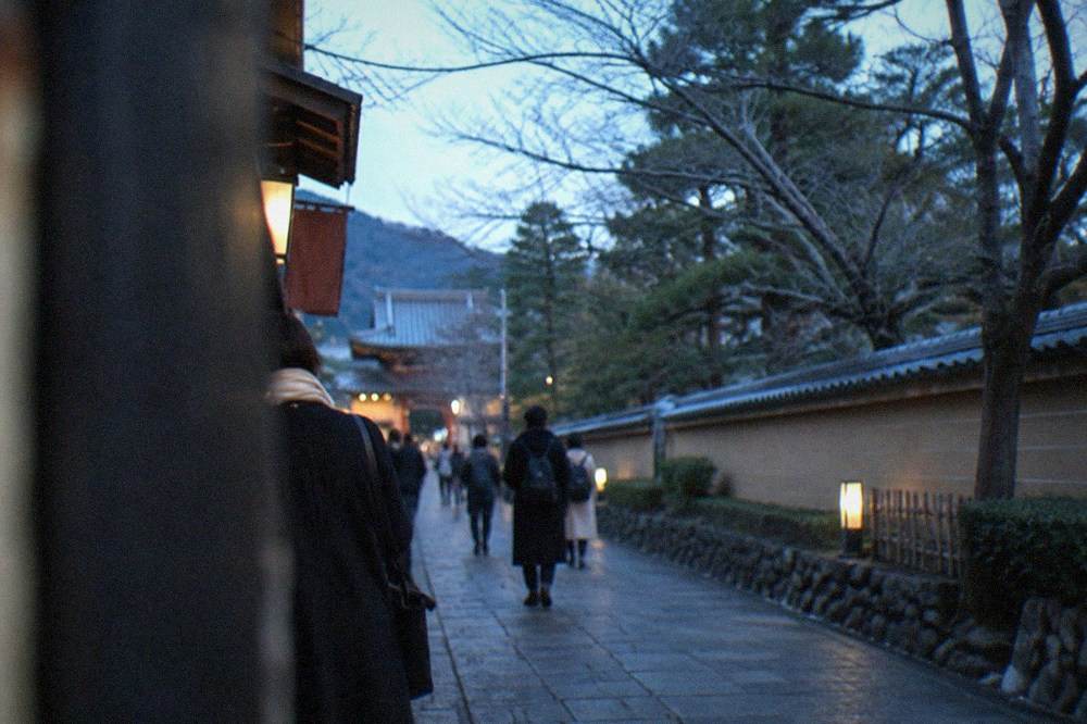 Bare trees lining a stone path beside a temple wall in cold morning light