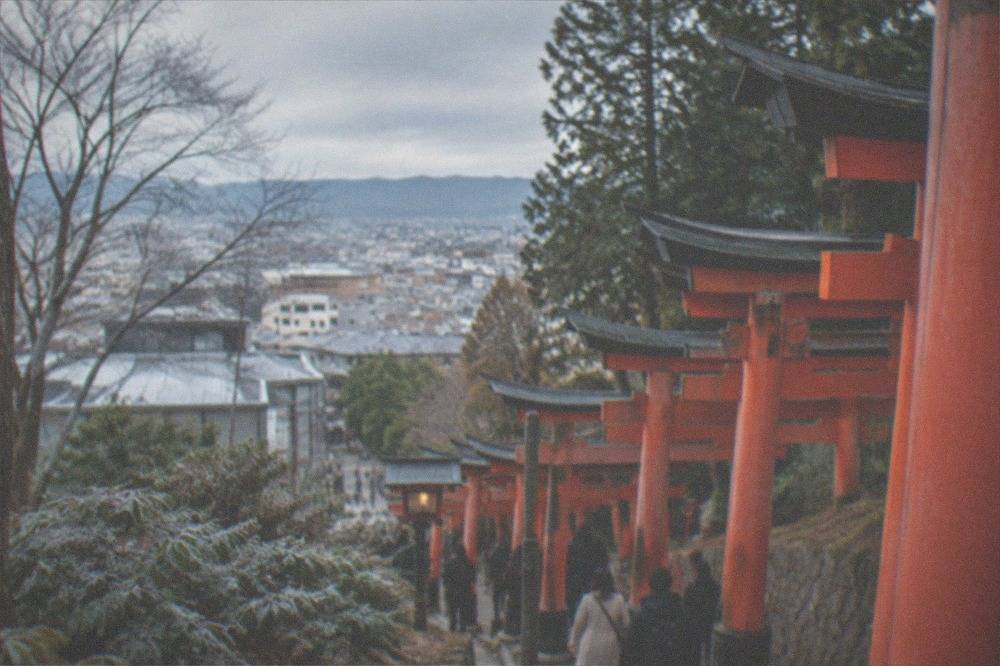 A row of vermilion torii gates curving uphill with frost on the ground
